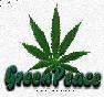   GanJ
