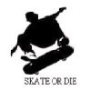  skate or die :-[