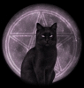   Kit