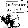   FREDOOM
