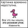   ׸