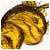   AmoumeBorry